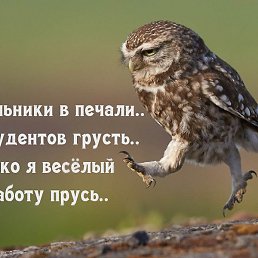 ����, �����, 43 ����