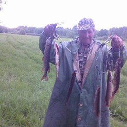 ������, �����, 72 ����