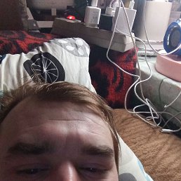 ���� ����, �����������, 33 ���� - ��������� 6 ������� 2023