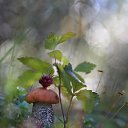 ���� �����, ���������� - ��������� 22 ������� 2022 � ������ ���� ����������