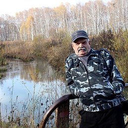 ���� �������, ��������, 84 ���� - ��������� 17 ������� 2022