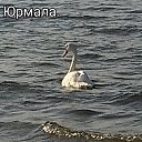 ���� ������, ����, 67 ��� - ��������� 18 ������� 2022 � ������ ������ ��������