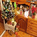 ���� �����, ������, 76 ��� - ��������� 27 ������� 2022 � ������ ���� ����������