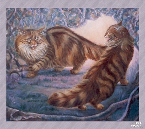 ОТОЖИОИСЬ. oллaндcкaя худoжницa Sylvia Schееn. #art #travel #world - 5