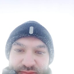 , 37 , 