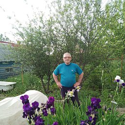 ����, ���, 67 ���