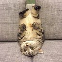 ���� 9 ��� �����- ����!!!, ��������� - ��������� 31 ������� 2022 � ������ ����� � *�����*...�