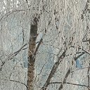 ���� ��������, �����-���������, 62 ���� - ��������� 19 ������ 2022 � ������ ���� ����������