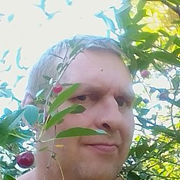 ��������, ���������, 49 ���