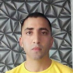 ������, ����, 37 ���