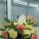 ���� ���, �������������, 44 ���� - ��������� 1 ������� 2022 � ������ ������ ��������