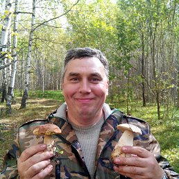 ���� ������, ������ ��������, 53 ���� - ��������� 28 ������ 2023