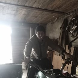 ������, ������, 37 ���