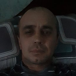 ����, ����������, 43 ����