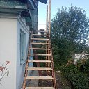 ���� �������, ���������, 43 ���� - ��������� 17 ������� 2022