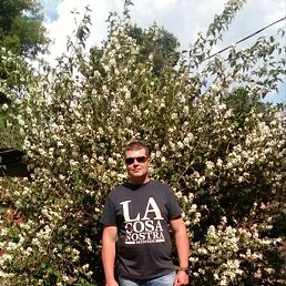 ������, ������, 39 ���