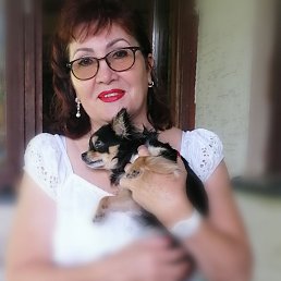 ���� ����, ��������, 59 ��� - ��������� 1 ������ 2022