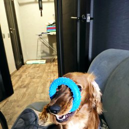 ���� Sergei, ��������, 49 ��� - ��������� 18 ������� 2023