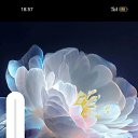 ���� ������, ������, 60 ��� - ��������� 16 ������ 2023 � ������ ���� ����������