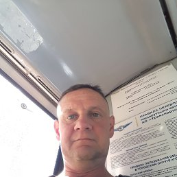 ���� �����, ������������, 48 ��� - ��������� 2 ���� 2022