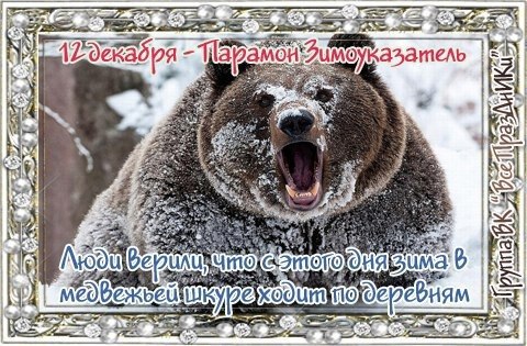  ,    . - 11  2022  20:48