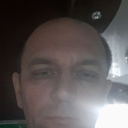 , 40 , 