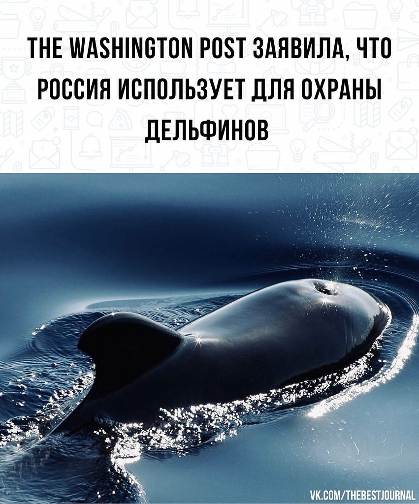 BEST | , ,  - 29  2022  14:35