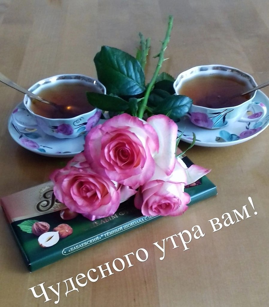   ,    . - 9  2022  22:41 - 4