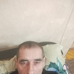 , 54, 