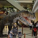 ���� ���������, ������, 44 ���� - ��������� 3 ������� 2022