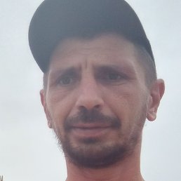 �, ����������, 43 ����