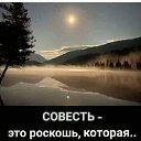 ���� �����, �����������-��-����� - ��������� 5 ������� 2022 � ������ ������ 1�
