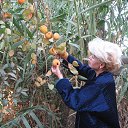 ���� �������, �����, 64 ���� - ��������� 1 ������� 2022