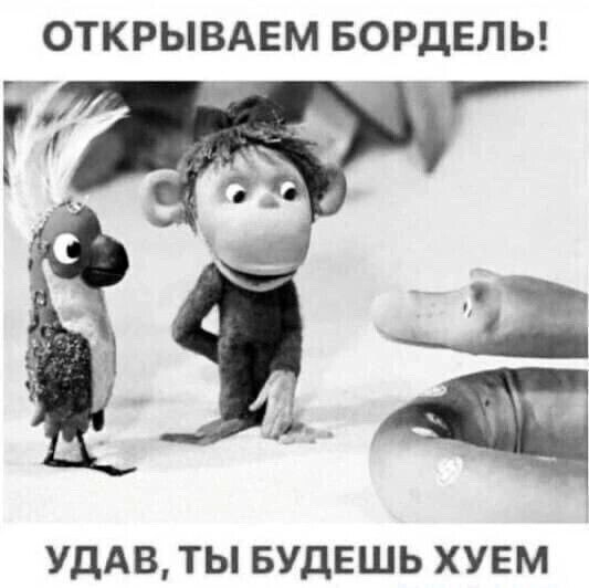   - 10  2022  09:11