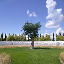 ���� ������, ����, 38 ��� - ��������� 31 ���� 2022