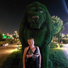 ������, �������, 45 ���