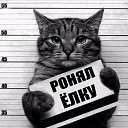 ���� �����, ������ - ��������� 2 ������ 2023 � ������ ���� ����������