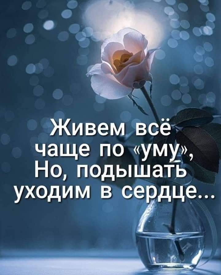   - 25  2022  22:20