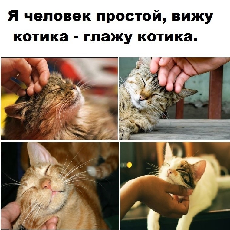    - 20  2022  07:15