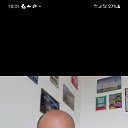 ���� Tik, �����, 41 ��� - ��������� 9 ��� 2022 � ������ ���� ����������