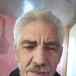 ���� ������, �����������, 66 ��� - ��������� 7 ������ 2023