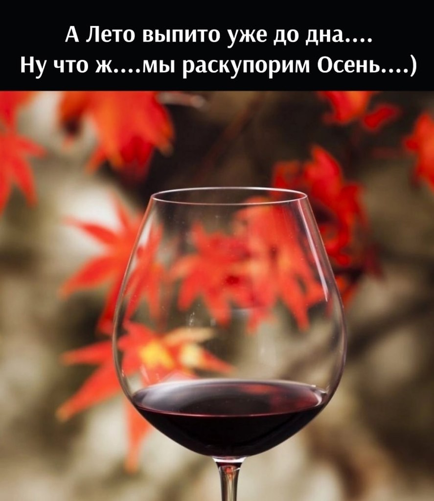   - 1  2022  22:56