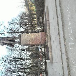 Name, ���, 38 ���