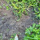 ���� Yuriy, ������, 46 ��� - ��������� 8 ���� 2022 � ������ ���� ����������