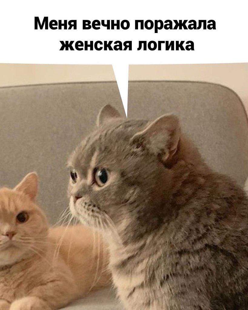 ����� ��� ������� ������ - 3