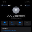 ���� ������, ������, 43 ���� - ��������� 11 ������� 2023 � ������ ���� ����������