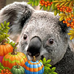 ��������, ����, 53 ����