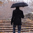 ���� �������, �������, 43 ���� - ��������� 17 ������� 2023 � ������ ���� ����������