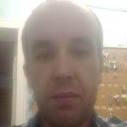 ������, ������, 36 ���