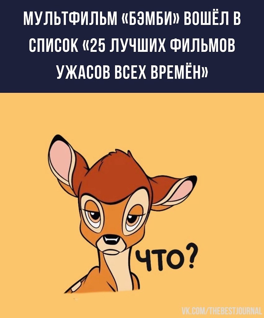 BEST | , ,  - 10  2022  16:41
